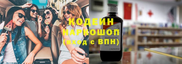 индика Бородино