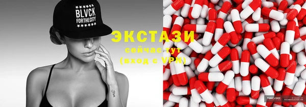 индика Бородино