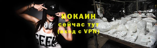 индика Бородино