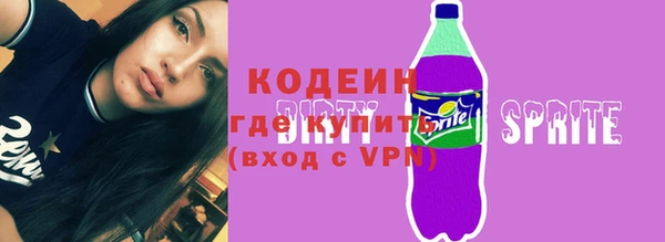 индика Бородино