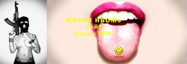 индика Бородино