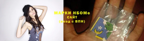 индика Бородино