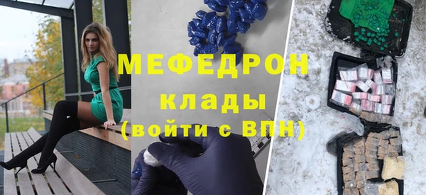 индика Бородино