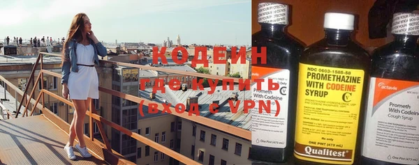 индика Бородино