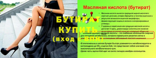 индика Бородино