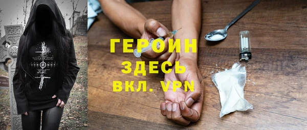 индика Бородино