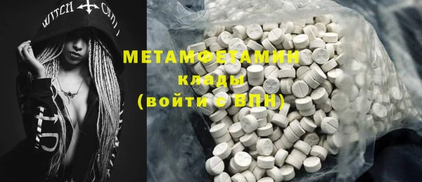 индика Бородино