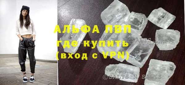 индика Бородино