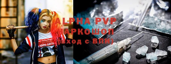 индика Бородино