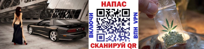 Конопля гибрид  Грайворон 